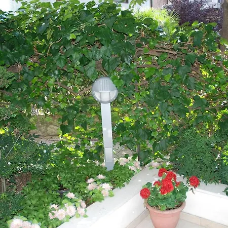 L'affittacamere Di Venezia بيت ضيافة ميستر